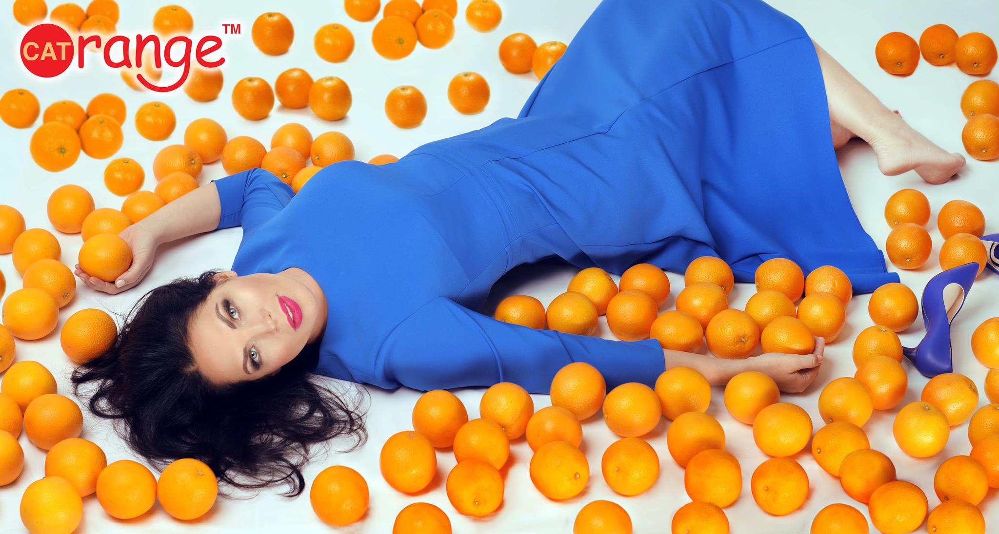 Влада Литовченко Cat Orange 4